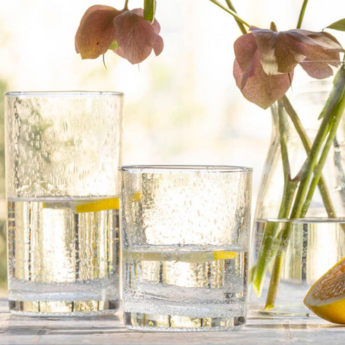Blue Pheasant Quinn Clear Drinkware Blue Pheasant Quinn Clear Drinkware